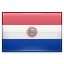 shiny Paraguay icon